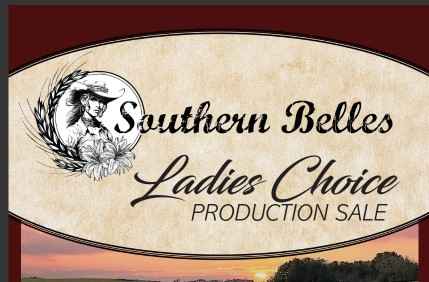 Ladies Choice Production Sale