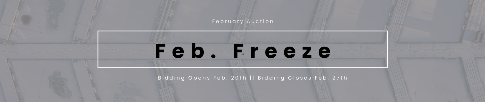 Business & Public || Consign.bid || February 27th Online Auction