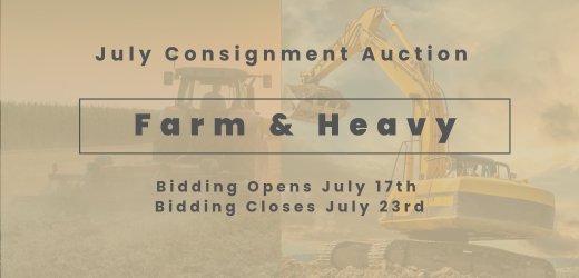 Test Consign.bid Auction || Hide