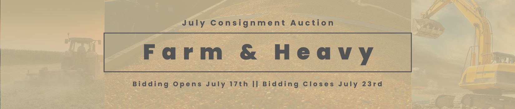 Test Consign.bid Auction || Hide