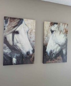Horse prints