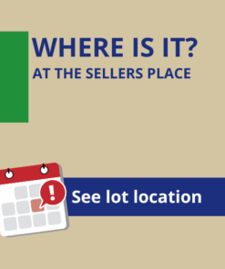 Where is the auction lot?