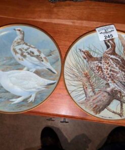Franklin Porcelain; Birds of Prey Collector plates