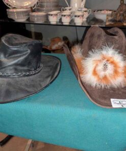 Beco etc Cowboy hats