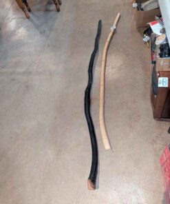 Walking Sticks