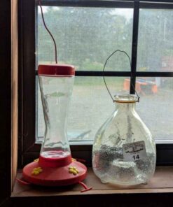 Hummingbird feeder and wasp trap