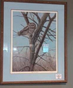 Signed E. Aycan "Night time look out" Print 1708/2000