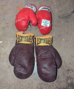 Franklin & Everlast boxing gloves