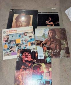 Gordon Lightfoot, Leonard Cohen, The Beach boys, etc record Albums