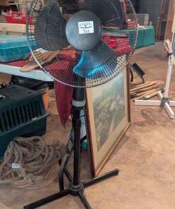 Floor Fan