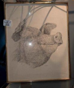 Signed M.K. Baker Swine portrait