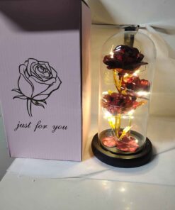 Red rose lighted globe