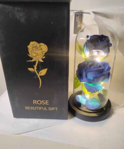 Blue rose lighted globe