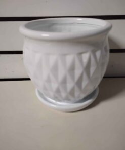 6 inch diamond bella self watering pot