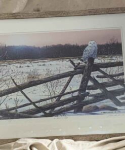 A Winter’s Light by J. Vandenbrink 1998