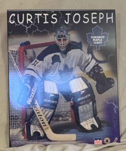 Curtis Joseph of the Toronto Maple Leafs