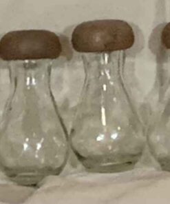 5 Glass Condiment Bottles with Screw Off Caps