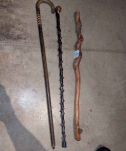 Trio of Walking Stick