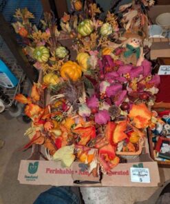 Fall Decorations