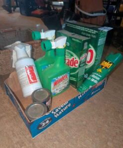 Dishwasher soap, windex, rust paint and raid
