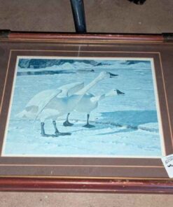 Robert Bateman Snow Geese Print