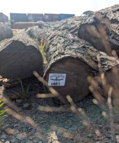Cherry & Ash Logs