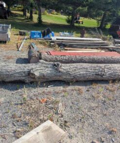 Old Dry Chestnut Log