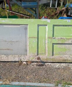 Antique Wooden Doors (2)
