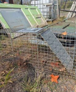 Live Animal Trap