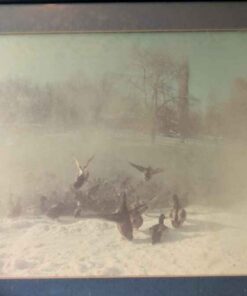 Old Framed Duck Photo