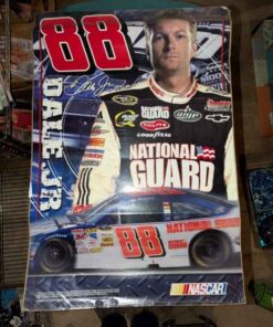 #88 Dale Jr Poster