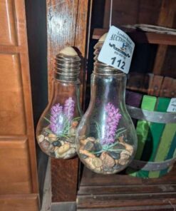 Light bulb Terrarium