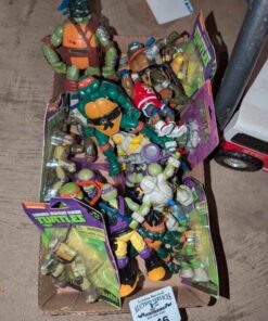 Teenage Mutant Ninja Turtle Figures