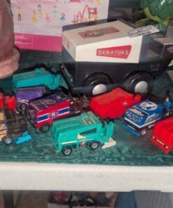 Team Logo Zamboni models