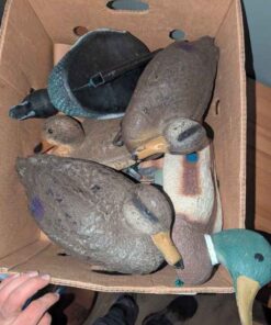 Duck Decoys