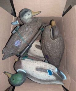 Duck Decoys