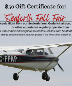 $50 Gift Certificate for Flight from Papple Aviation