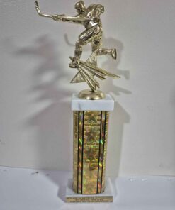 Hockey championship trophy