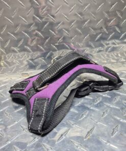 Pet harness