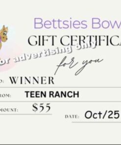BETTSIE'S BOWS #2