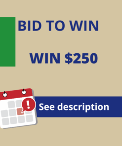 Bid to Win $250