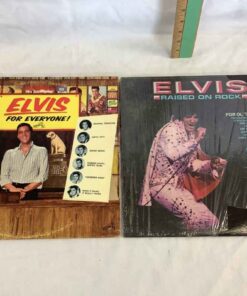 Elvis Vintage Vinyl LPs (2)