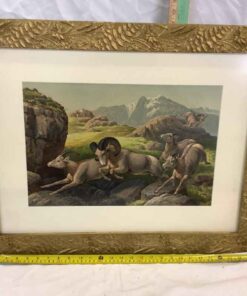 Framed Artwork - 28” x 22”