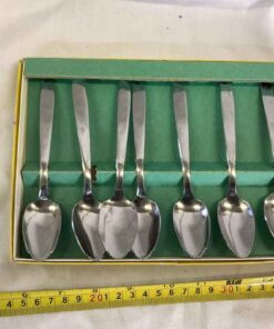 Set of Stainless Grapefruit Spoons