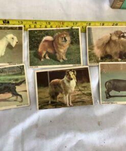 Double-sided Dog Cards (6)
