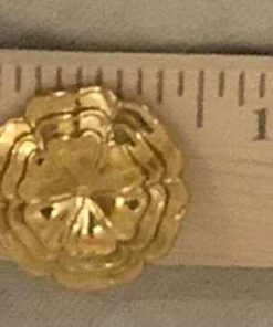 Golden Clipon Earrings