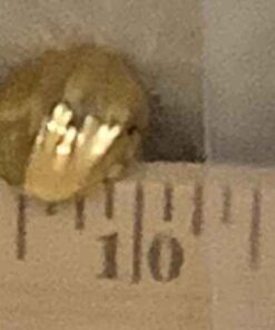 Small Golden Earrings - pierced