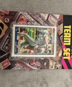Collector Baseball Cards (3)