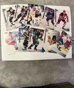 Collector Hockey Cards (2)