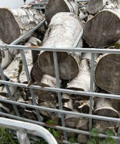 Birch logs